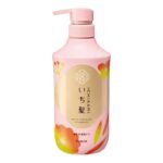 ICHIKAMI Dense W Moisturizing Care Shampoo Pump, 16.2 fl oz (480 ml) | Non Silicone Amino Acid Shampoo Hair Care, Damage Care, Men and Women