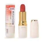 Cezanne Lasting Lip Color N 501 Orange – 3.9g